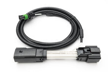 SPV Parts Harness System 2019-2023 Ranger (& RANGER Tremor) LED Headlight Parking/Headlight Connector Adapter (Powers Backlights)